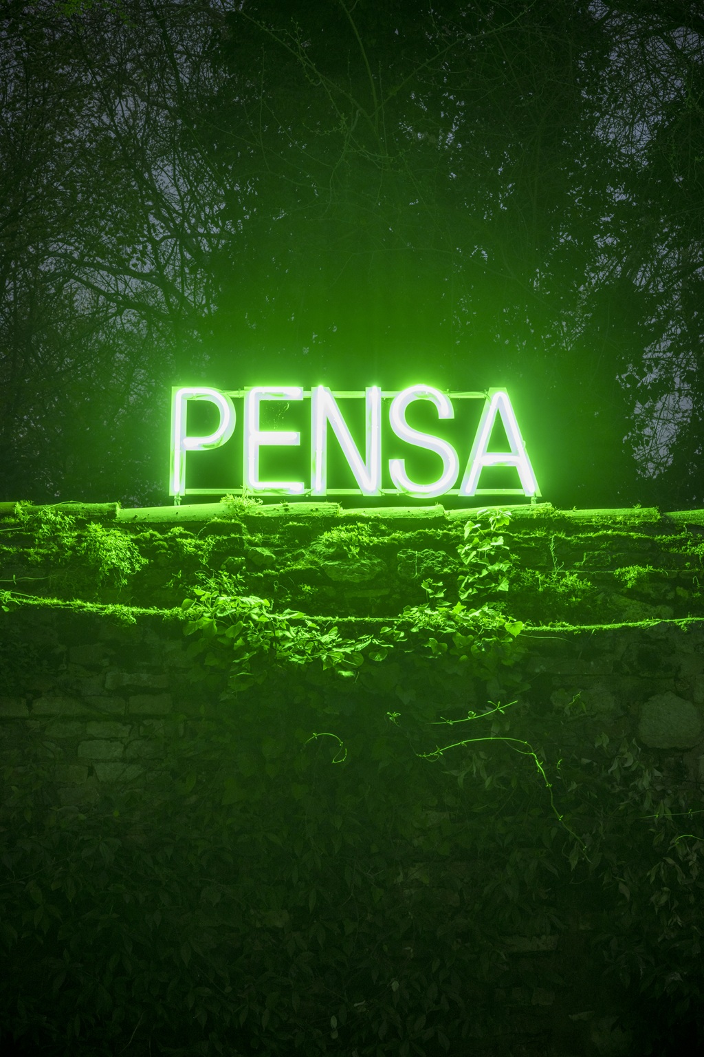 Manuela Bedeschi - PENSA
